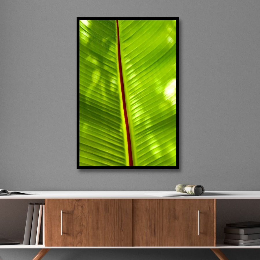 Banana Leaf Photography Art - Designity Art