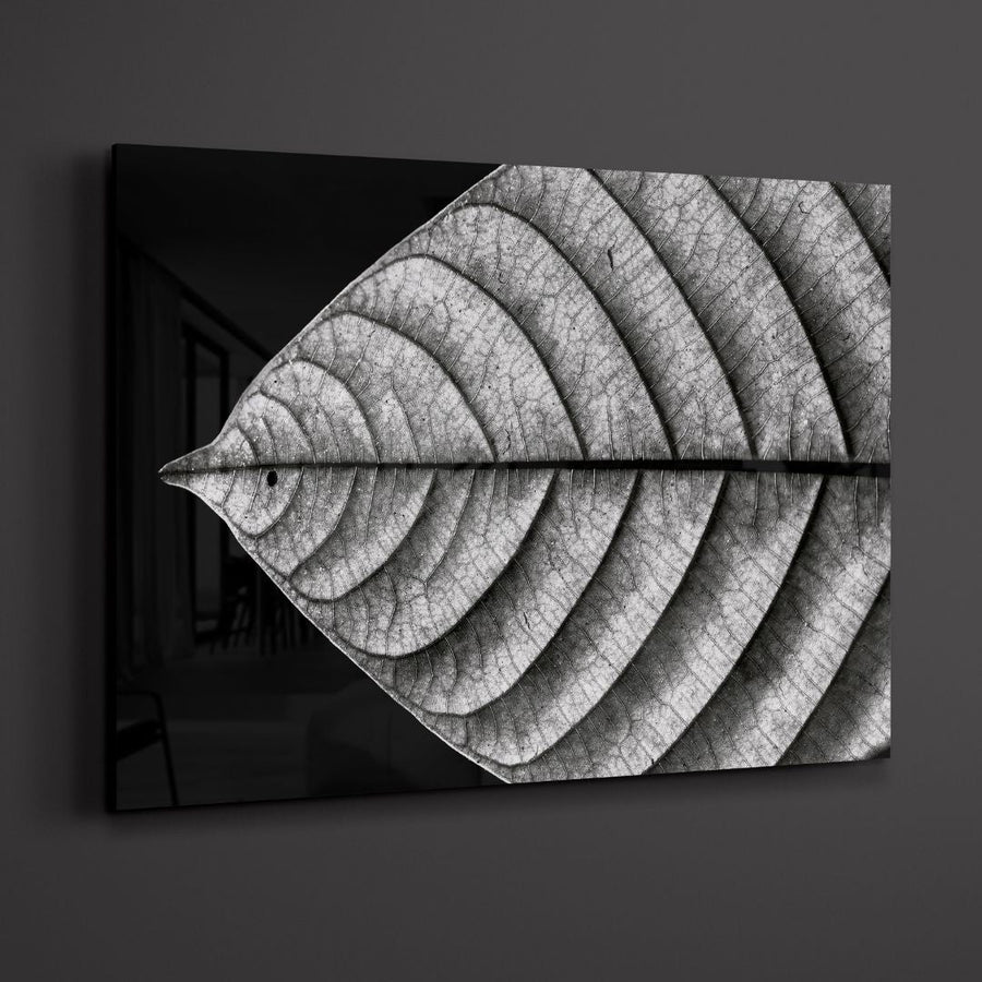 Black & White Lead Closeup Acrylic Glass Art - Designity Art