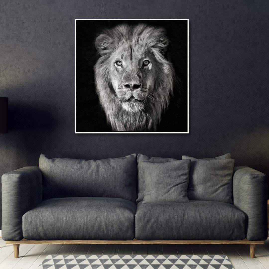 Black & White Lion Portrait Photography Art - Designity Art