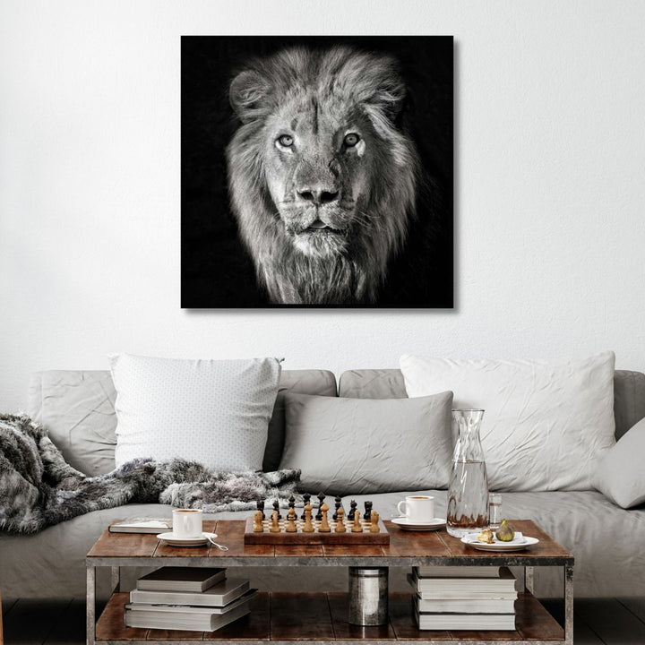 Black & White Lion Portrait Photography Art - Designity Art