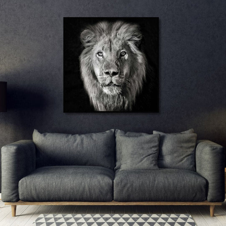 Black & White Lion Portrait Photography Art - Designity Art