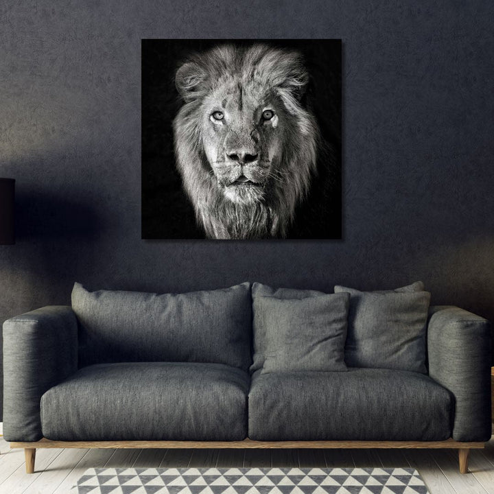 Black & White Lion Portrait Photography Art - Designity Art