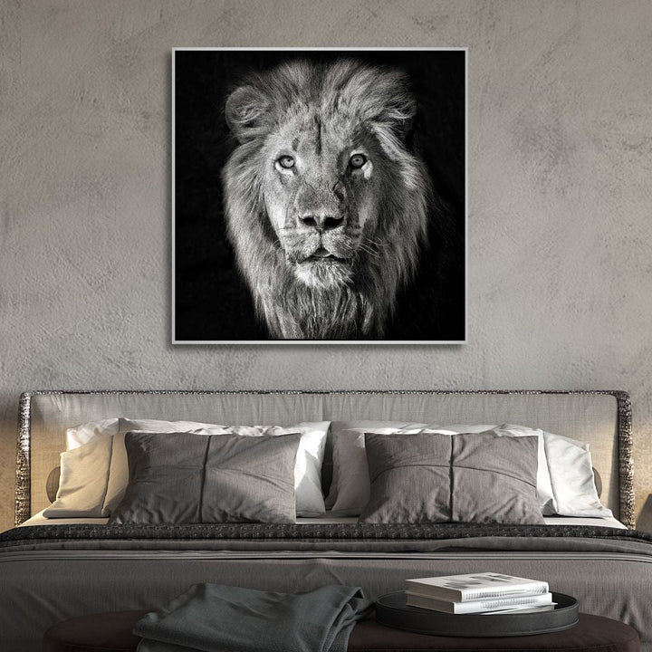 Black & White Lion Portrait Photography Art - Designity Art