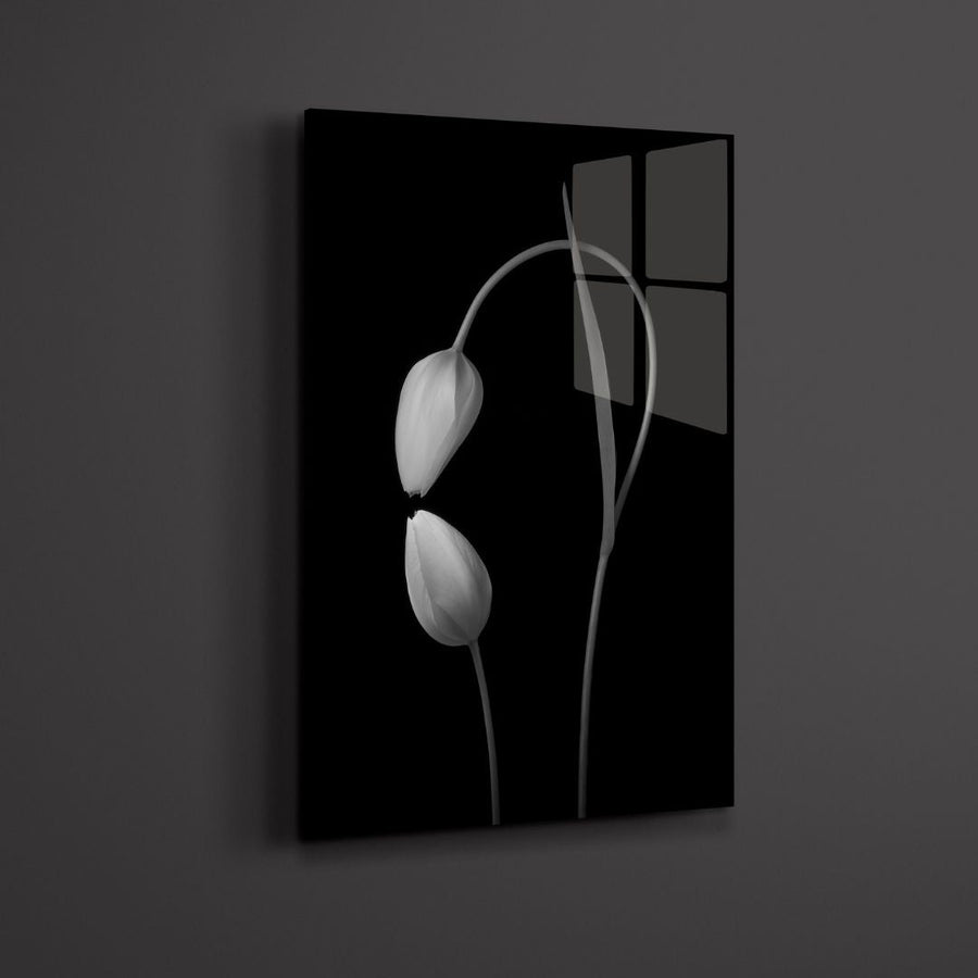 Black & White Tulip Acrylic Glass Art - Designity Art