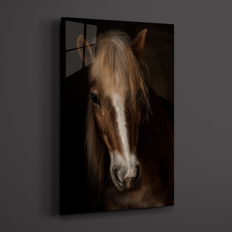 Brown Horse Portrait Acrylic Glass Wall Art - Designity Art