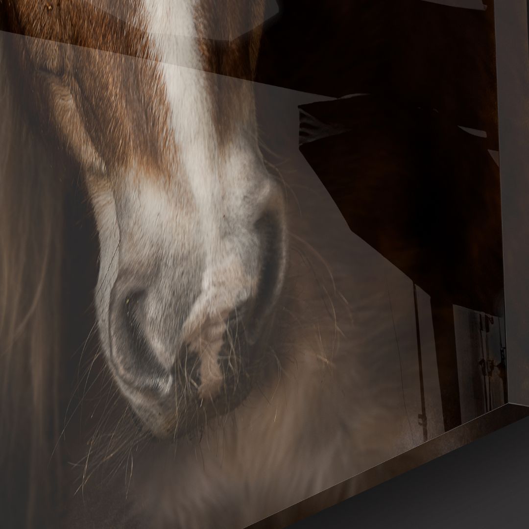 Brown Horse Portrait Acrylic Glass Wall Art - Designity Art