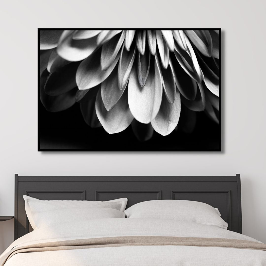 Chrysanthemum III Photography Art - Designity Art