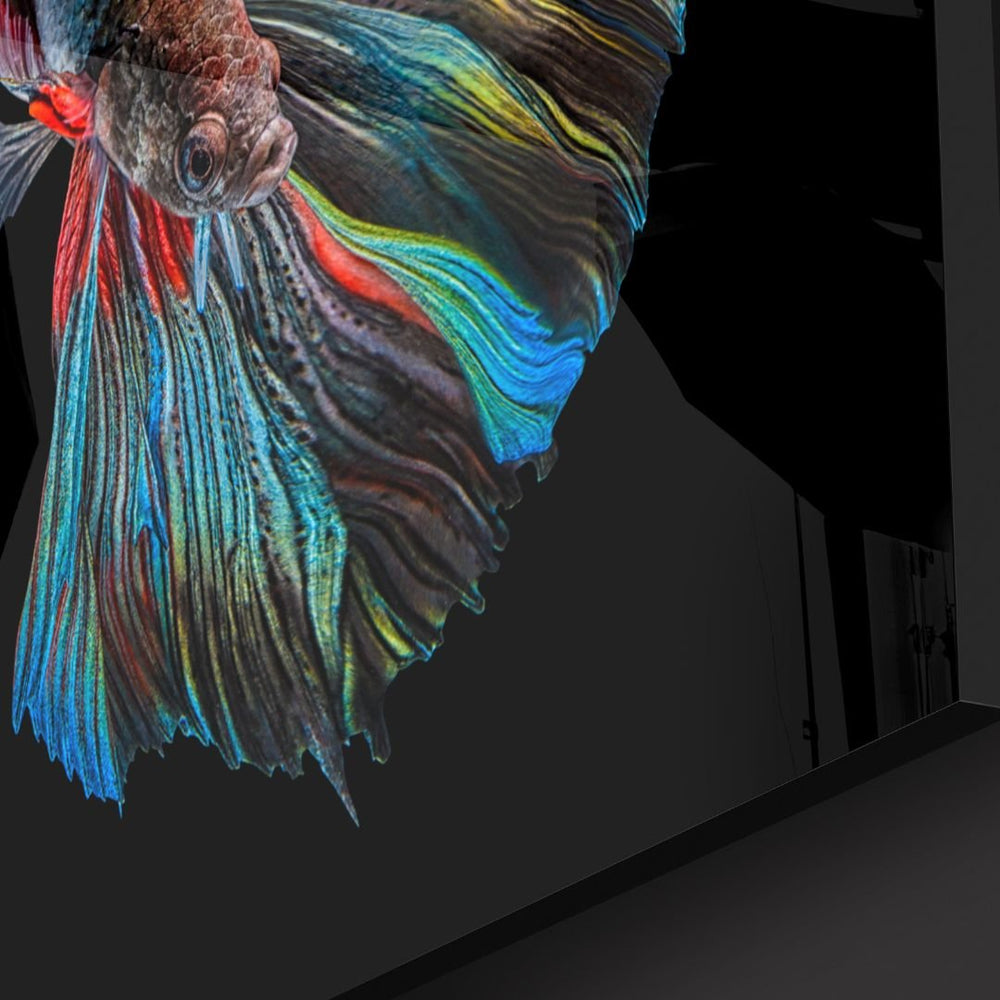 Colorful Fish Acrylic Glass Art - Piece 1 - Designity Art