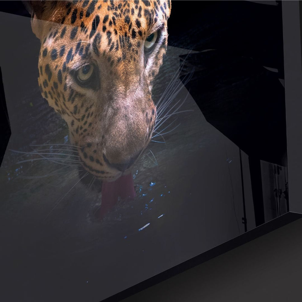 Drinking Leopard Acrylic Glass Wall Art - Designity Art