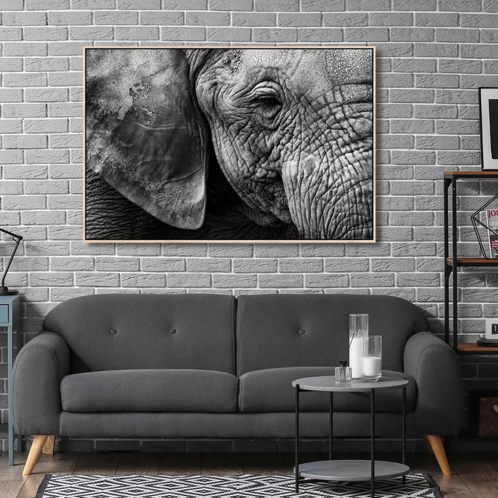 Elephant Portrait Canvas Art - Designity Art