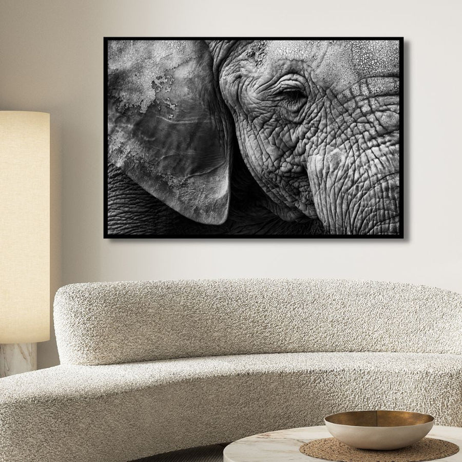 Elephant Portrait Canvas Art - Designity Art