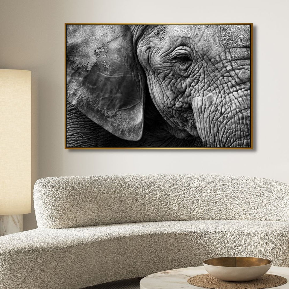 Elephant Portrait Canvas Art - Designity Art