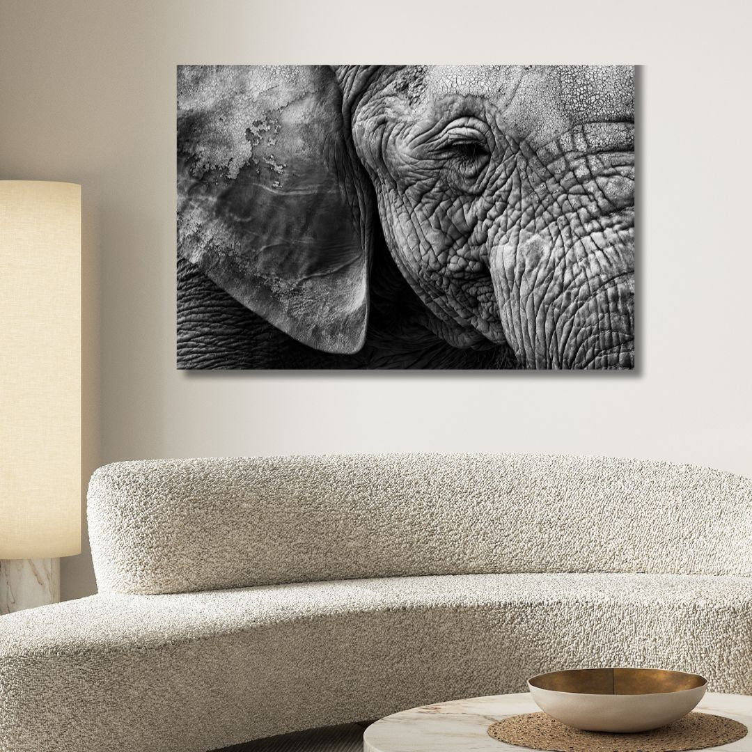 Elephant Portrait Canvas Art - Designity Art