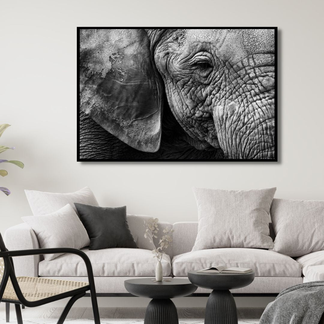 Elephant Portrait Canvas Art - Designity Art