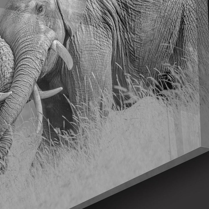 Elephants Love Acrylic Glass Art - Designity Art