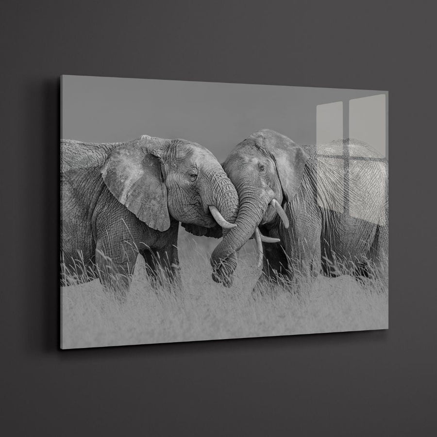 Elephants Love Acrylic Glass Art - Designity Art