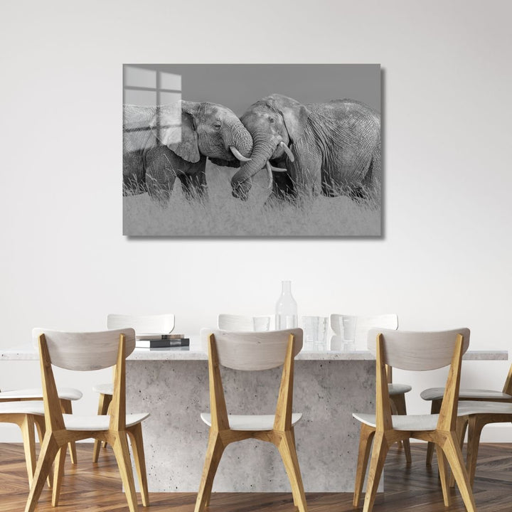 Elephants Love Acrylic Glass Art - Designity Art