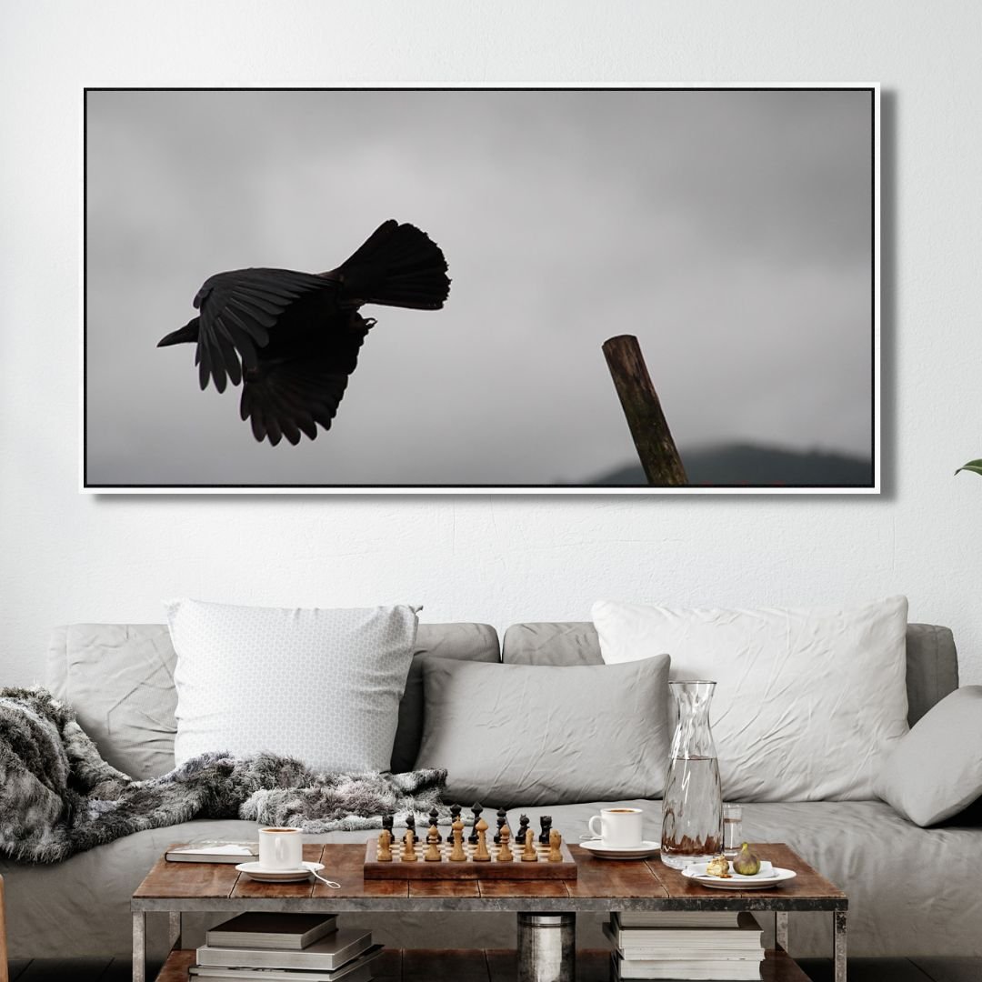 Flying Crow Black & White Photography Art - Designity Art