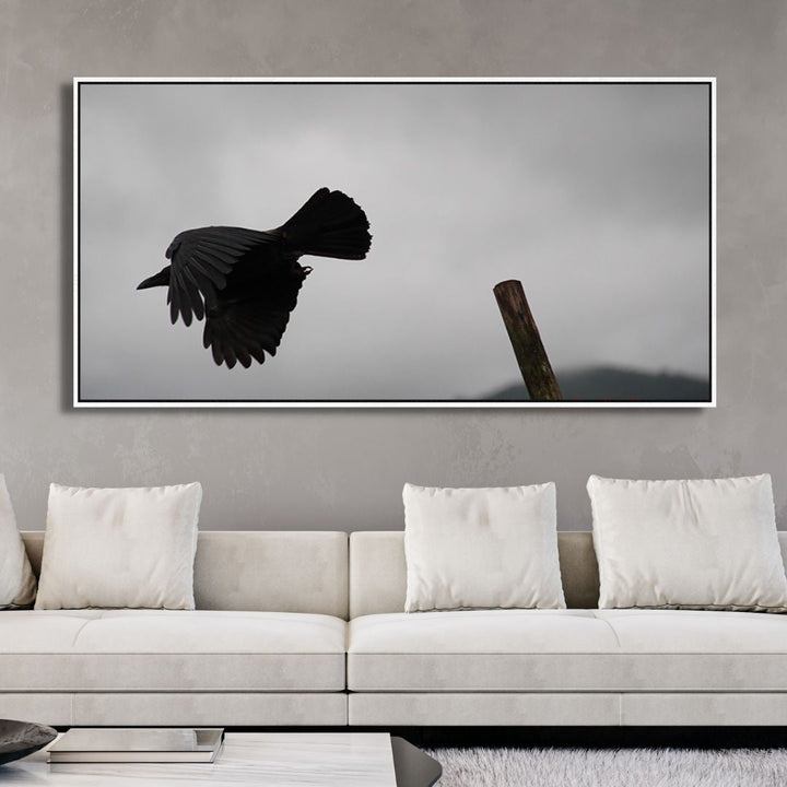 Flying Crow Black & White Photography Art - Designity Art