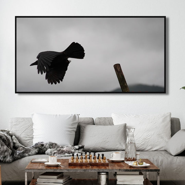 Flying Crow Black & White Photography Art - Designity Art