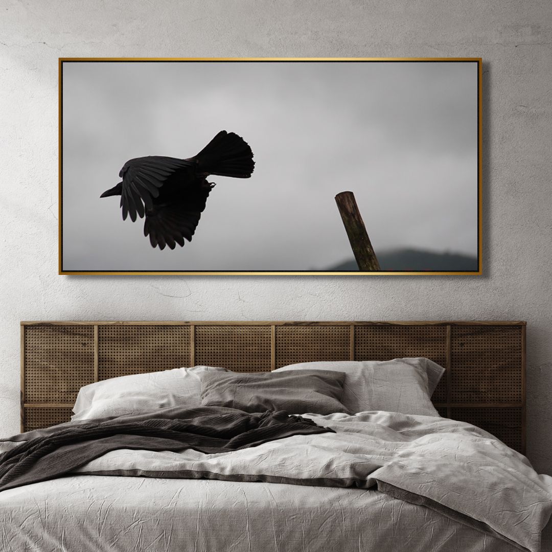 Flying Crow Black & White Photography Art - Designity Art