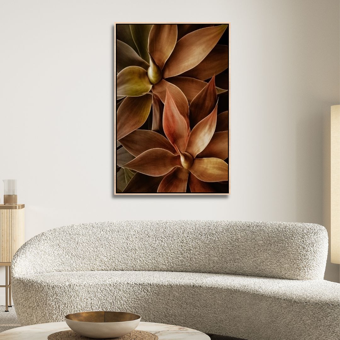 Foxtail Agave Abstract Art - Designity Art