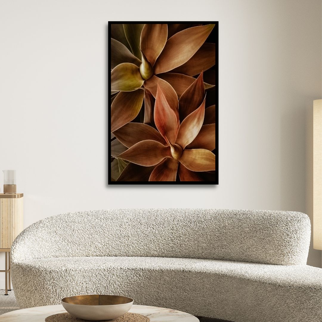 Foxtail Agave Abstract Art - Designity Art