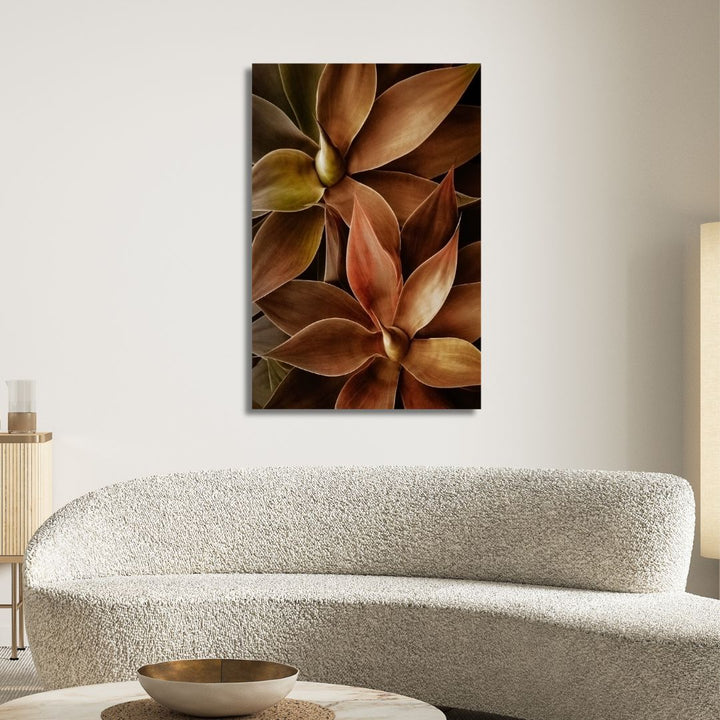 Foxtail Agave Abstract Art - Designity Art