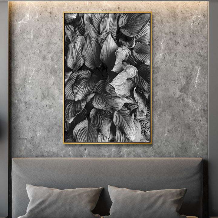 Hostas in Black and White Photography Art - Designity Art