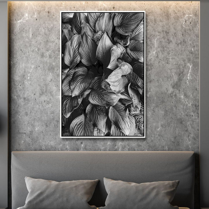 Hostas in Black and White Photography Art - Designity Art