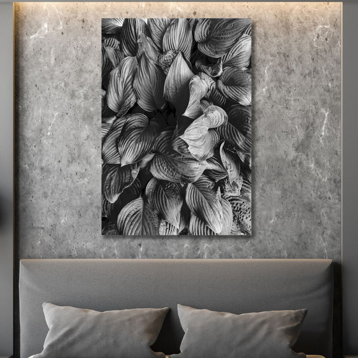 Hostas in Black and White Photography Art - Designity Art