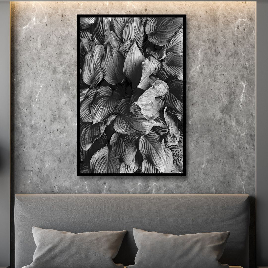 Hostas in Black and White Photography Art - Designity Art