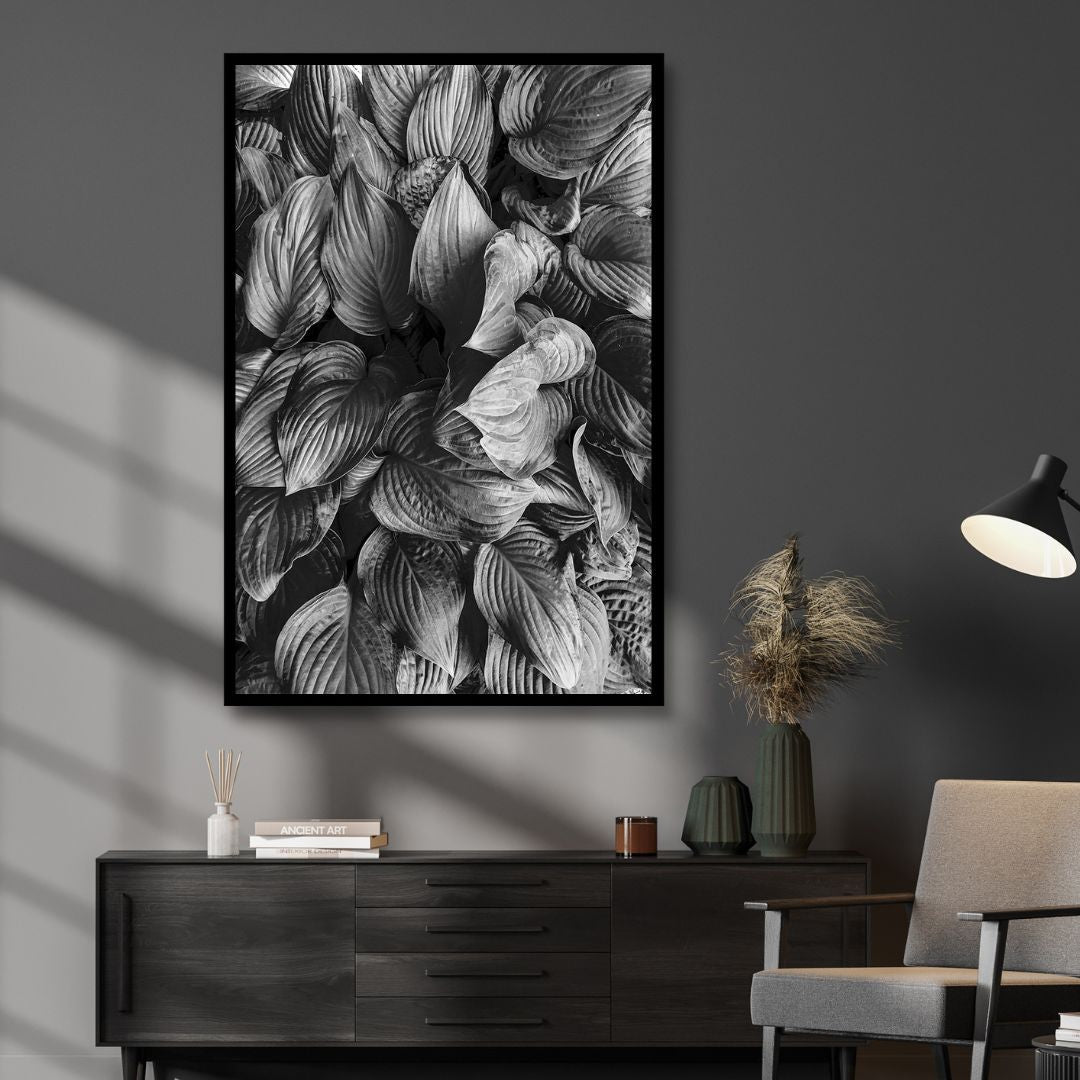 Hostas in Black and White Photography Art - Designity Art