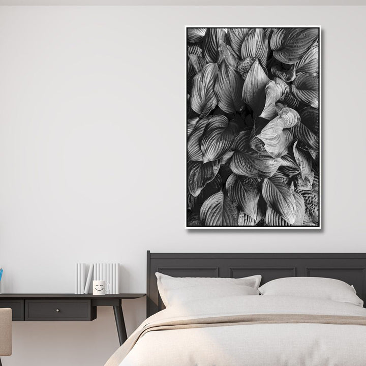 Hostas in Black and White Photography Art - Designity Art