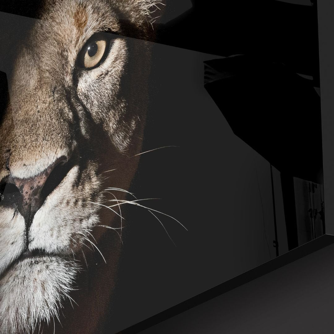 Lion in The Dark Acrylic Glass Art - Designity Art