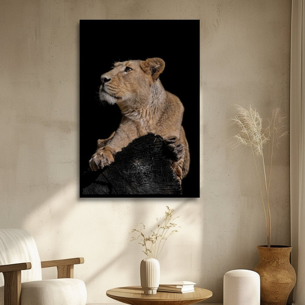 Lioness Portrait Canvas Art - Designity Art