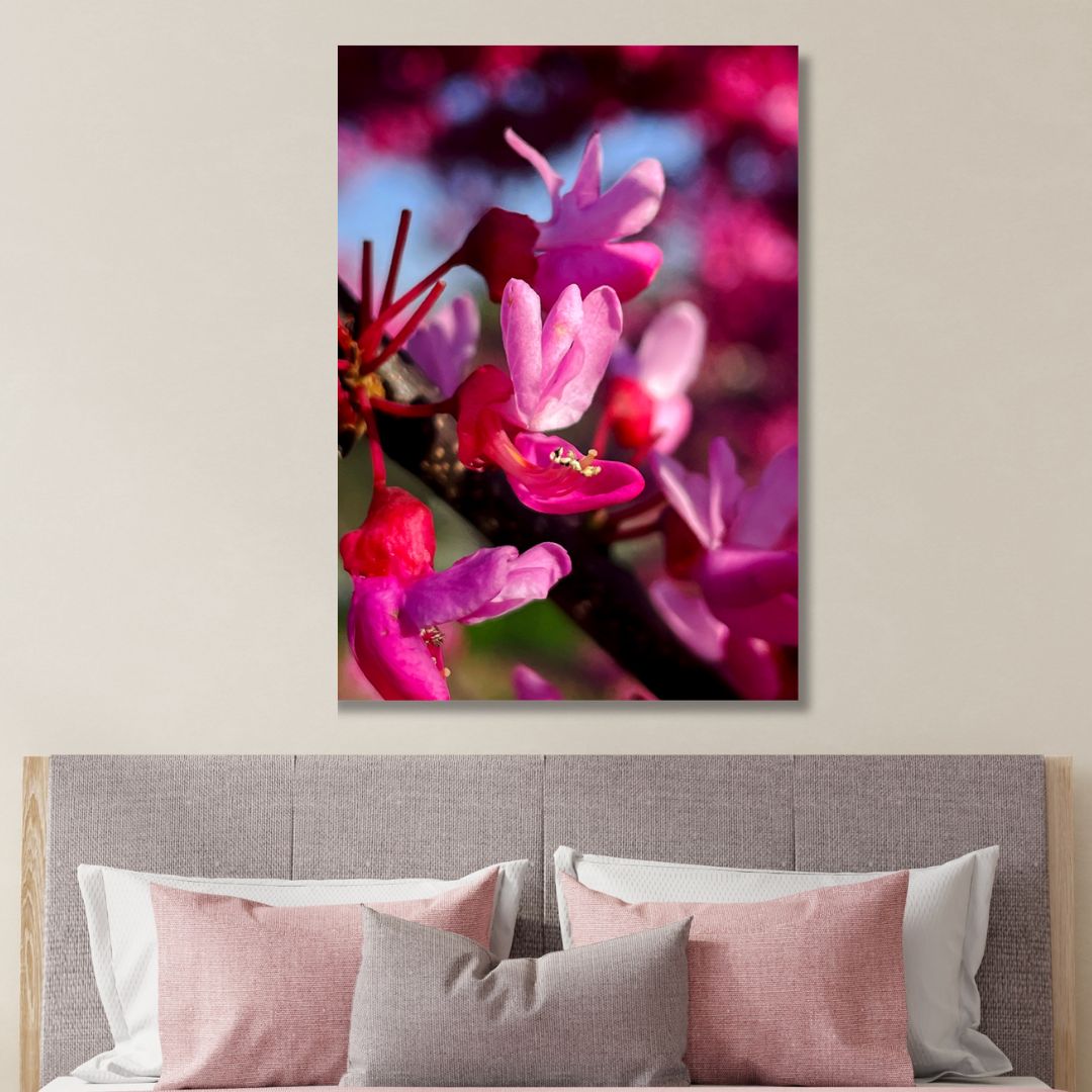 Red Buds in Spring Photography Art - Designity Art