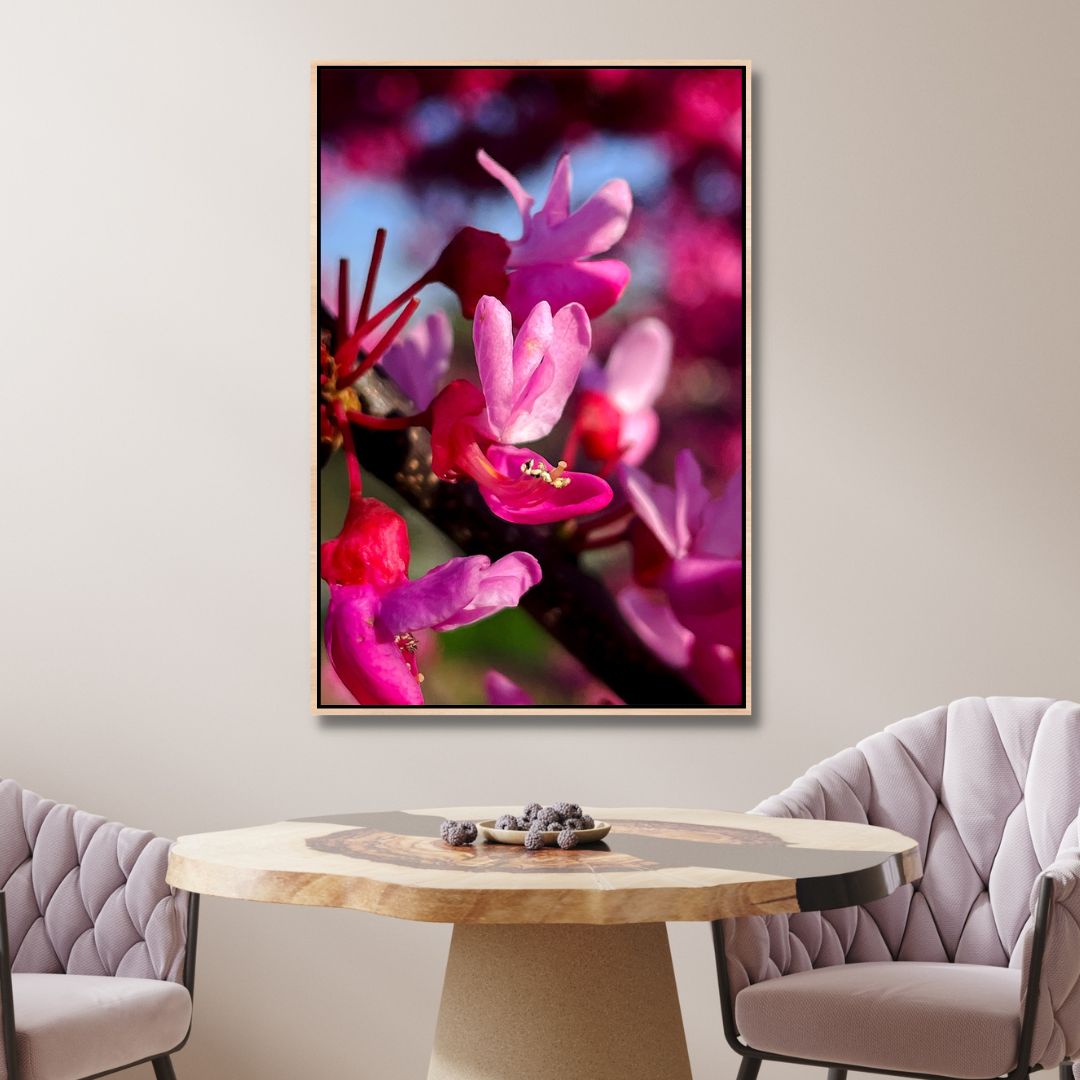 Red Buds in Spring Photography Art - Designity Art