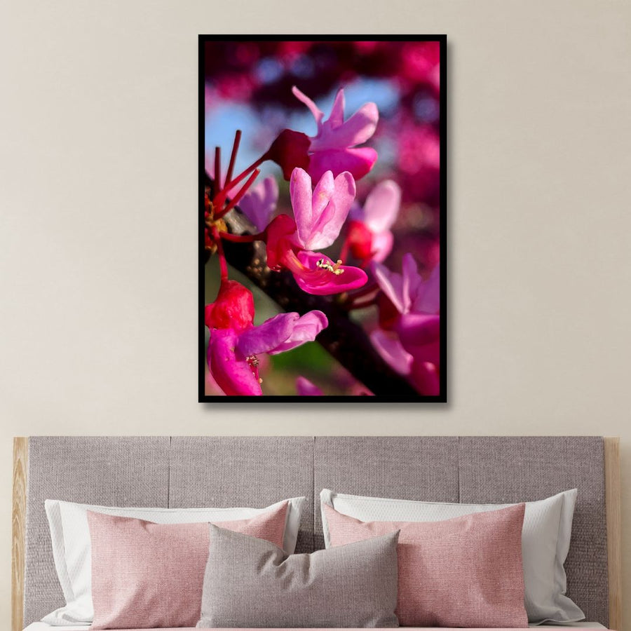 Red Buds in Spring Photography Art - Designity Art