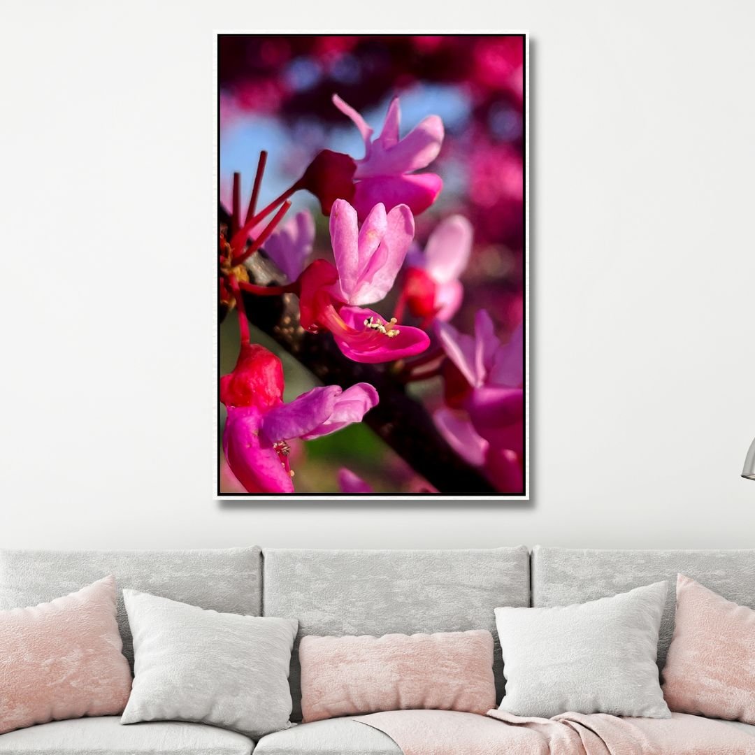 Red Buds in Spring Photography Art - Designity Art