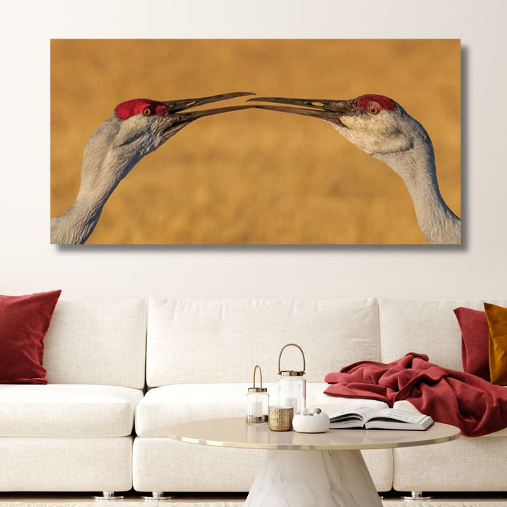 "The Kiss" Birds Photography Art - Designity Art