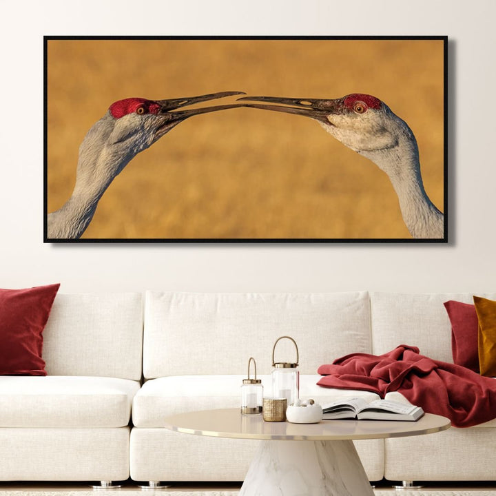 "The Kiss" Birds Photography Art - Designity Art