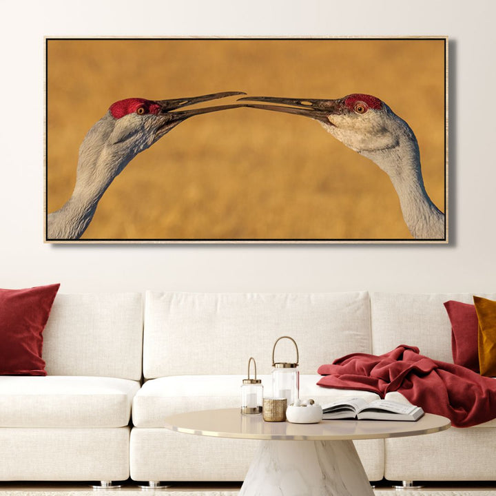 "The Kiss" Birds Photography Art - Designity Art