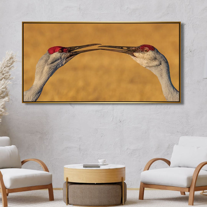 "The Kiss" Birds Photography Art - Designity Art