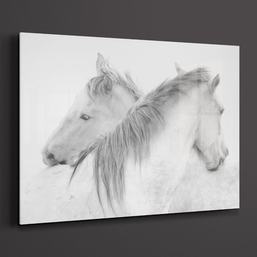 White Horses Acrylic Glass Wall Art - Designity Art