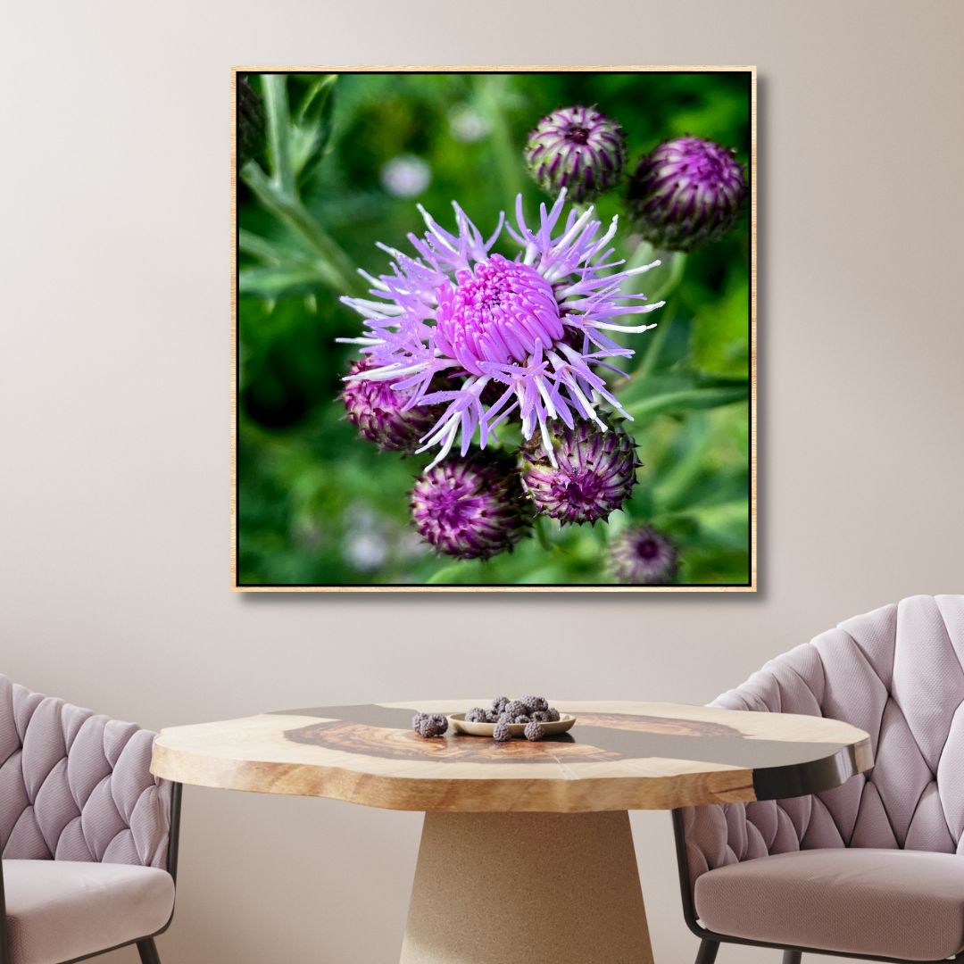 Young Thistle Photography Art - Designity Art