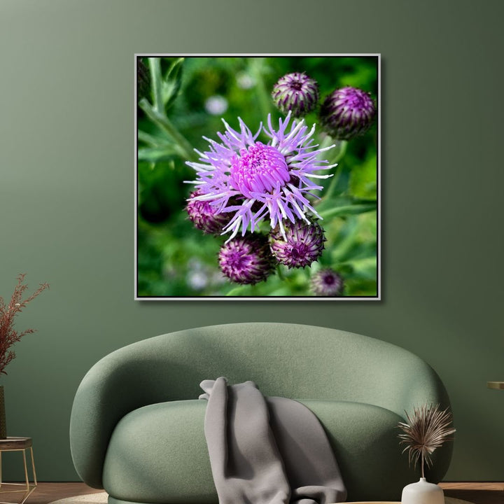 Young Thistle Photography Art - Designity Art