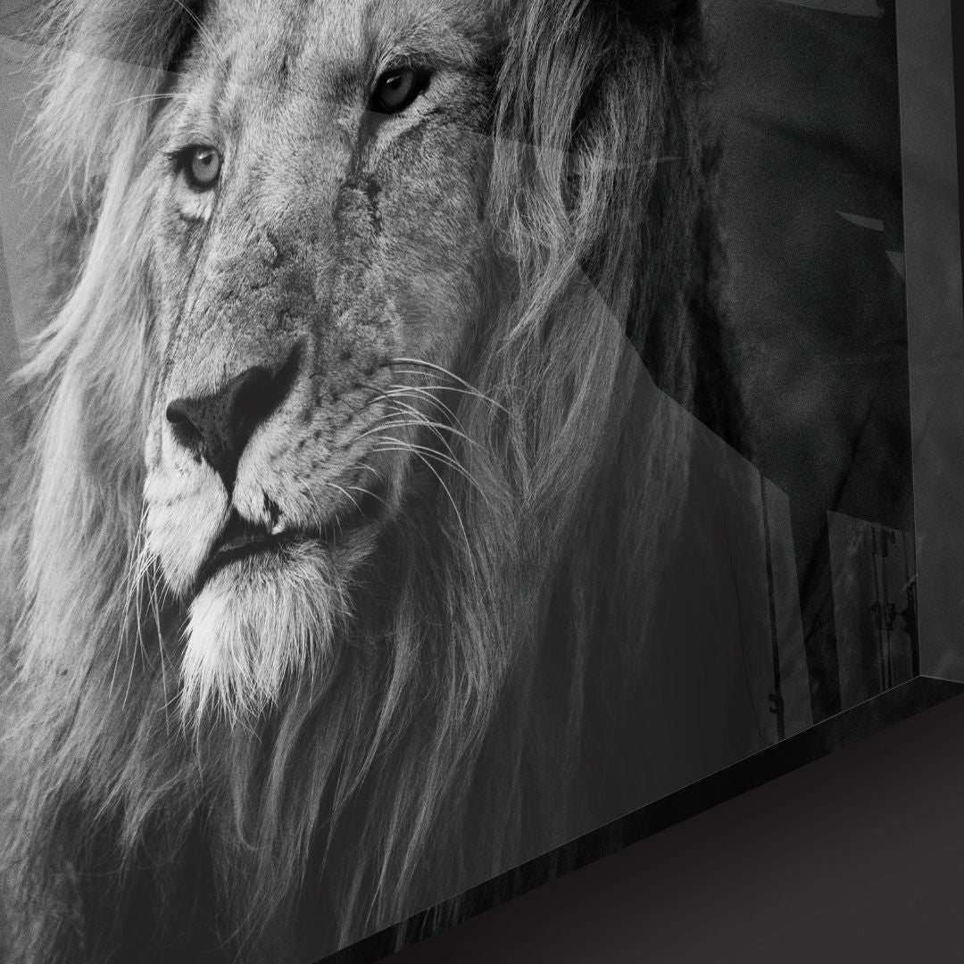 Black & White Lion Portrait Acrylic Glass Wall Art - Designity Art