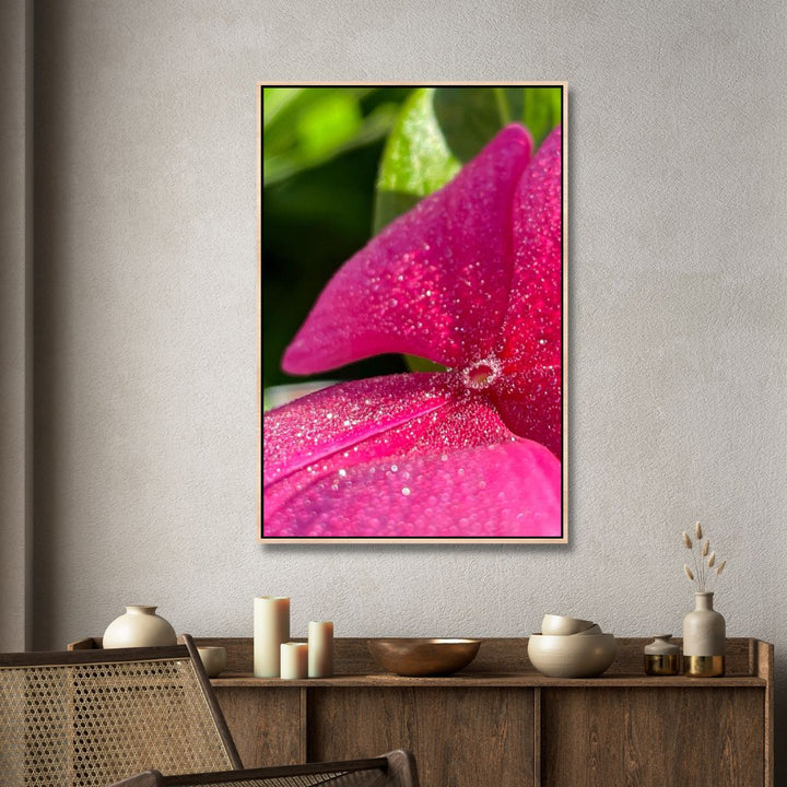 Dew On Impatiens Flowers Photography Art - Designity Art