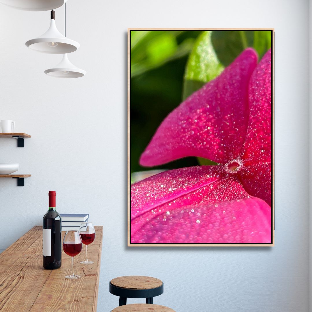 Dew On Impatiens Flowers Photography Art - Designity Art